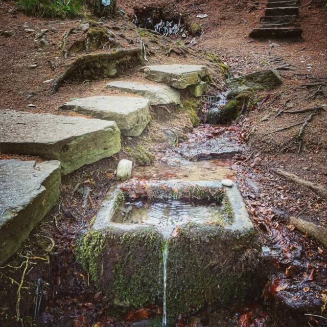 Have you been to a Clootie Well? Scotland is an ancient place with a deeply rooted history of folklore as well as for being infamously traditional & superstition and seeking out a Scottish “Clootie” Well when road tripping through Scotland provides you a glimpse into an ancient history as well as a scenic stretch of the legs often with no other visitors around!
Clootie Wells were an essential part of a community’s survival, providing an important water source for consumption & reputed for healing practices. 
For thousands of years, early inhabitants of Scotland (Celts, Pictish and even Neolithic settlers they believe) would gather as a community on special days of the year (May Day, Beltaine, Saint’s feast days) to pray, make offerings & often seek out healing properties. Once Christianity landed, wells were still used by the community but were named for a Saint often linked to healing specific ailments. Even up into the 1950’s on the first Sunday of May buses from Inverness would bring people to St Mary’s Well at Culloden, so they could pray or leave a “cloot” or coin offering.
The term “Clootie” in Scottish means clothe or rag & tradition was a person would visit the well with a piece of “cloot”/clothe from their garment, sometimes walking around the well clockwise 3 times, sometimes kneeling beside or even submerging into the well. The affected part of the body was washed with the cloot/clothe and then was tied on a tree branch nearby. It was believed that as the rag disintegrated over time, the wound or illness would heal or their prayer request would come to be. Though some also just visited & tied a cloot simply to honour the spirit of the well.  Today sadly most wells look like a dumping ground as synthetic fabrics or items are used (things that do not naturally decompose) so remember the healing magic only happens as your all natural fiber “cloot” disintegrates!!) 
⬇️See comments below for a list of the few wells pictured and to search out all the sacred wells (and other ancient sites) I like to use this fabulous ancient site reference website https://www.megalithic.co.uk 
#clootiewell #holywell #scottishtradition #ancientscotland #scotlandroadtrip