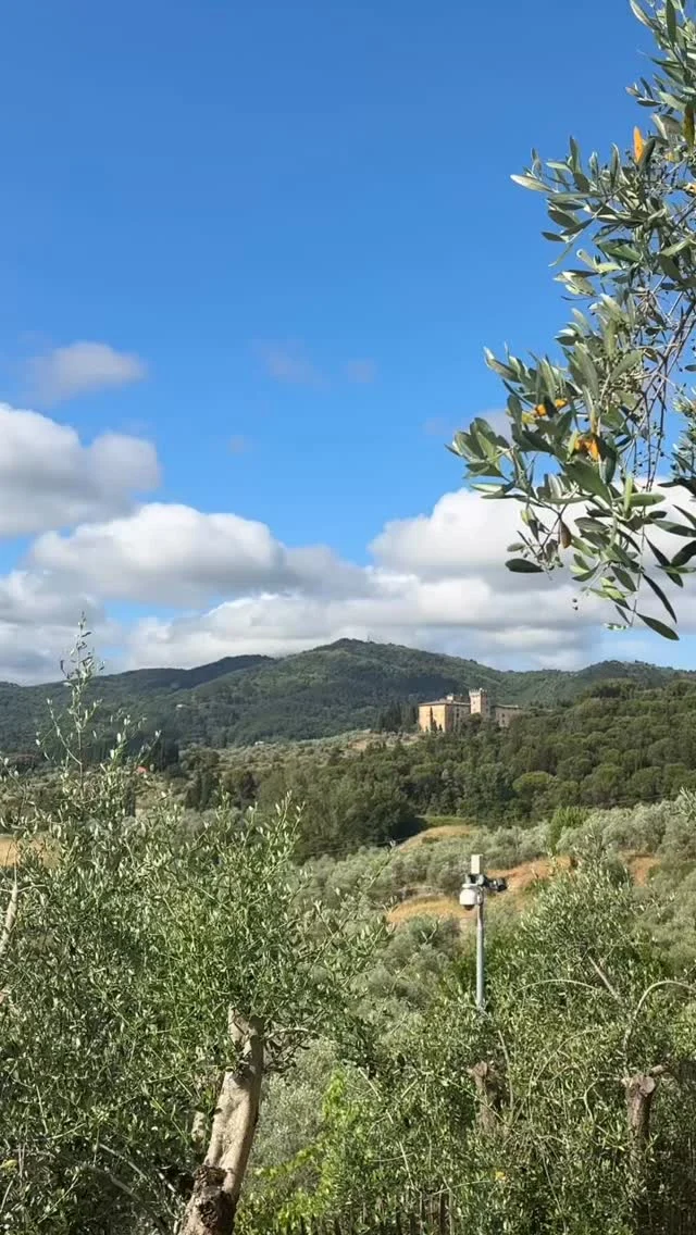 A peek at what life in a Tuscan Villa is like with me and @tourskeyrow … #heavenintuscany #tuscanlife
#eatgoodlivewellenjoylife